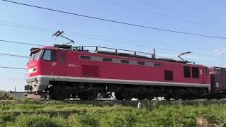 トップナンバーEF510-1牽引高速貨物【4K】信越本線下り4075ﾚ