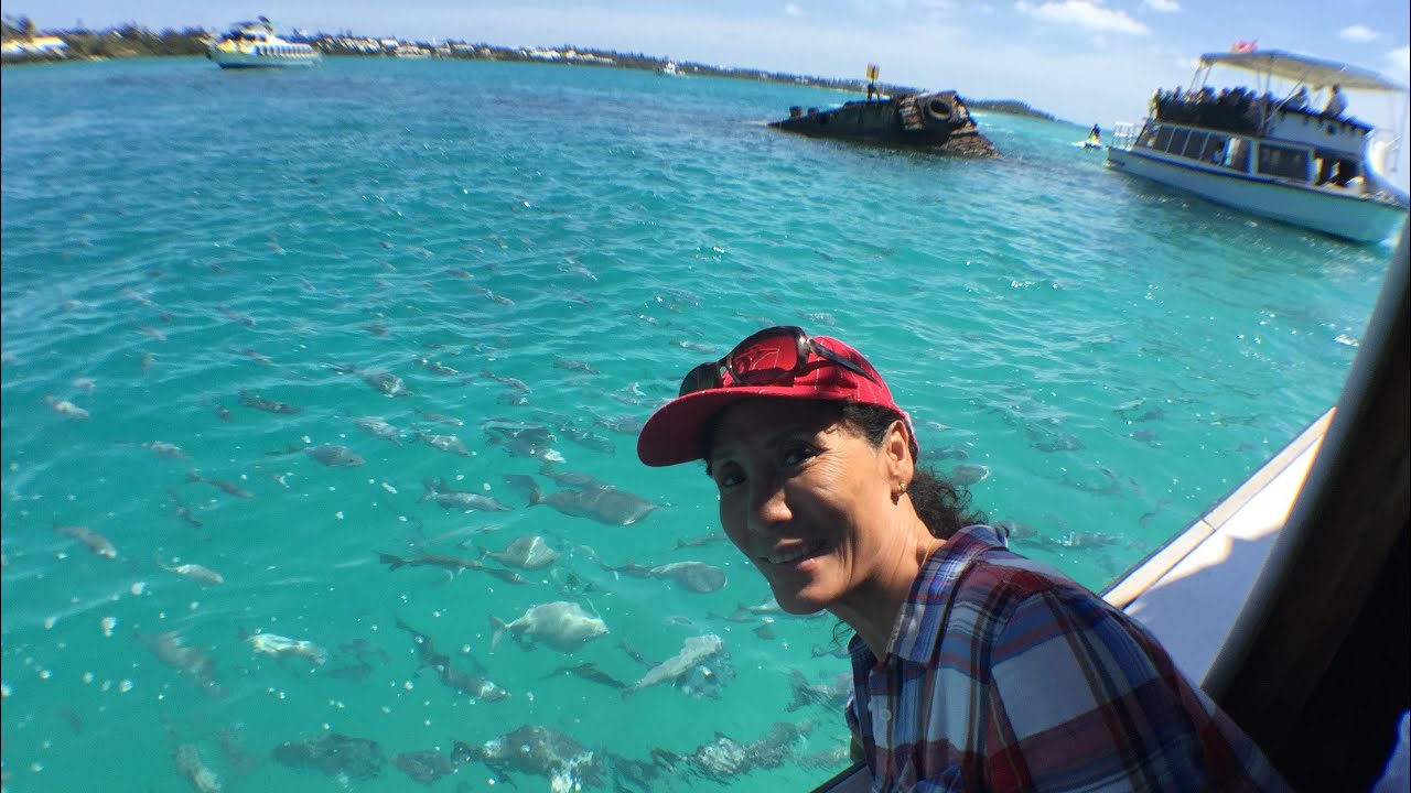 NORWEGIAN BBREAKAWAY GLASS BOTTOM BOAT BERMUDA YouTube