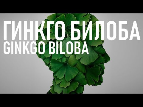 Гинкго Билоба (ОПАСНОСТЬ | ПОЛЬЗА) для памяти и кровообращения | Benefits of Ginkgo Biloba