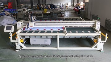 Computerized frame single needle quilting machine with lifting head belt support type