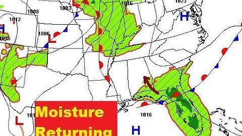 Friday Video Update (8/24/18)