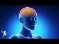 Whole body rejuvenation  eliminates all negative energy healing body mind and spirit 432 hz