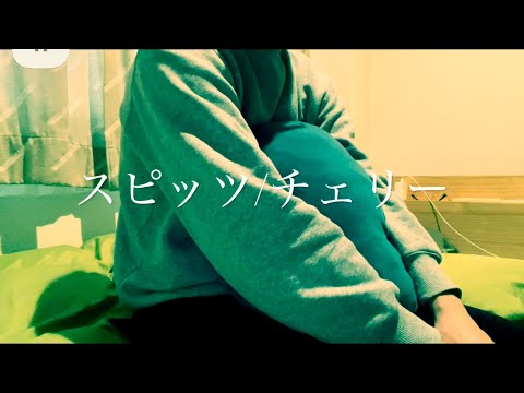 チェリー/スピッツ　【cover ボクノ】