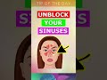 Unblock Your Sinuses With Steam & Peppermint Oil