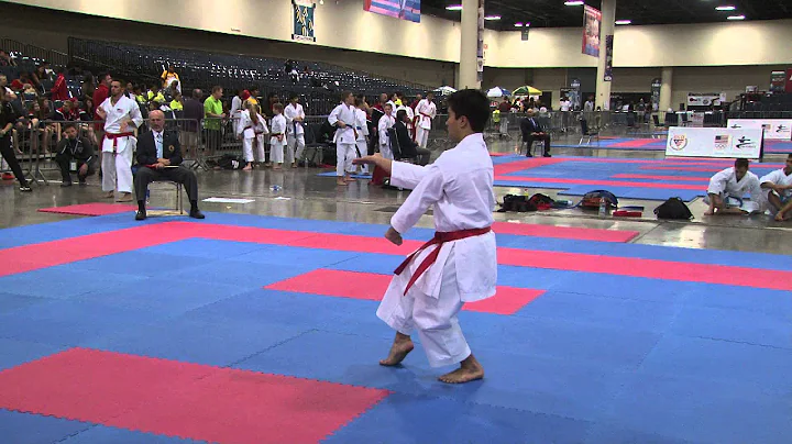 2015 USANKF Nationals Elite 16-34 Kata William Lou...