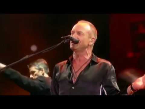 STING, Englishman in New York Festival de Viña del Mar 2011