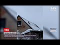 У Рівненській області наляканий заєць намагався видертись на дах будинку