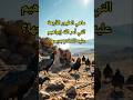 ماهي الطيور الأربعة التي أمر الله إبراهيم عليه السلام بدبحها
