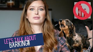 Let's Talk About Barking! | Miniature Dachshund UK