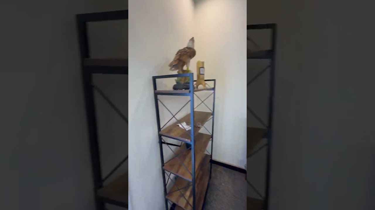 B-17 ISLAMABAD Furnished room available FOR daily and weekly basis ✨☎️ 03485059125