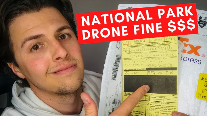 I Flew in a National Park (And This Happened!)