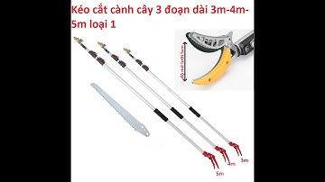 kéo cắt cành 3m buddy (hàng số 1) nhật bản phục vụ các bác làm cây LH 0984424256