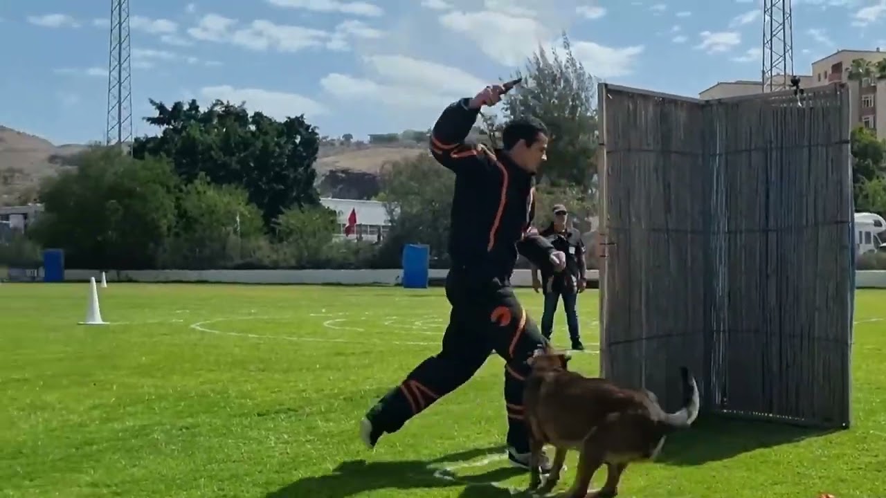 Competición Ring Francés Maspalomas 8 Mayo 2022