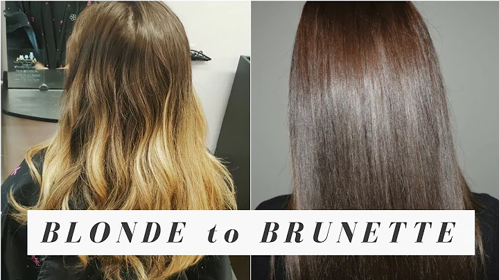 FROM BLONDE TO BRUNETTE! | Melissa Alexandria