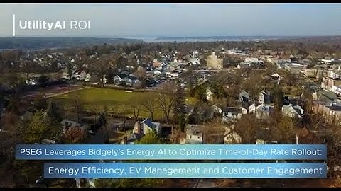 PSEG Long Island Leverages Bidgely