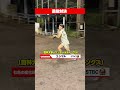 【爆肩】元プロに負けるな！メンバー同士でガチの遠投対決してみた！