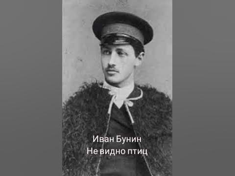 Стихотворение бунина не видно птиц покорно. Бунин не видно птиц. Не видно птиц покорно чахнет Бунин. Не видно птиц покорно чахнет лес Бунин. Стихотворение не видно птиц Бунин.