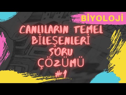 9. SINIF BİYOLOJİ CANLILARIN TEMEL BİLEŞENLERİ SORU ÇÖZÜMLERİ 1 | 9. SINIF BİYOLOJİ | ✅