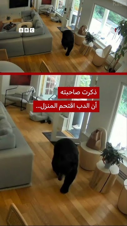        
 - نشر قبل 1 ساعة