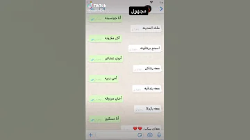 انا جون سينا ملك المدينه 