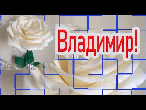 С днём рождения, Владимир!
