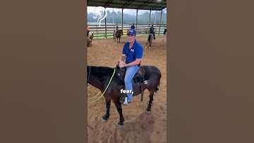 Intro To Playing Soccer With Your Horse! Part 10!  | The Horse Guru - Michael Gascon