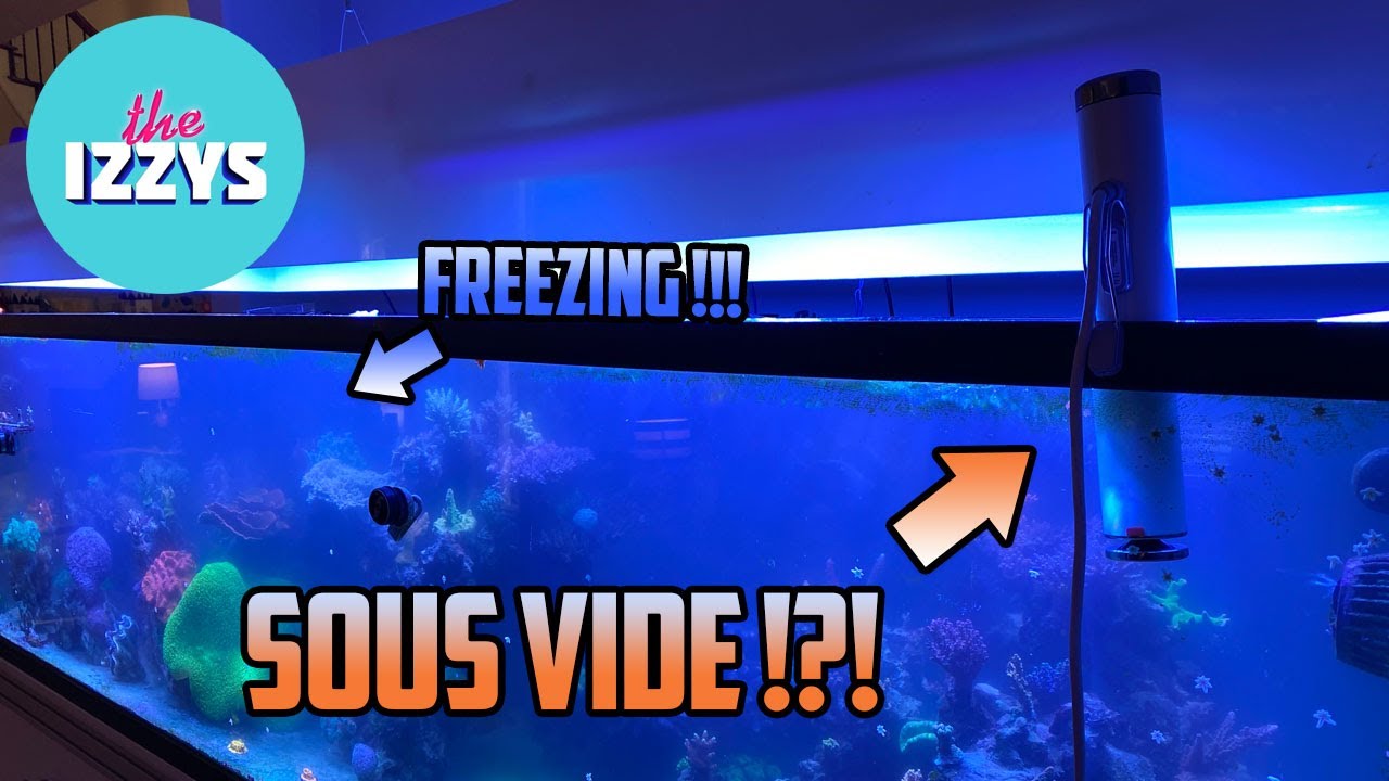 CAN SOUS VIDE SAVE A DYING FROZEN FISHTANK?!?!