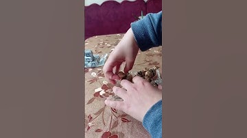 لا تنسى قراءة سورة الكهف ❤️