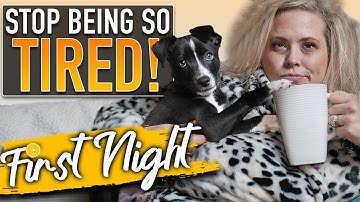 A Nighttime Puppy Training Schedule Where EVERYONE Gets To Sleep!