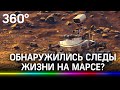 Марсоход зафиксировал жизнь? Чего ждать человечеству от миссии на Красной планете