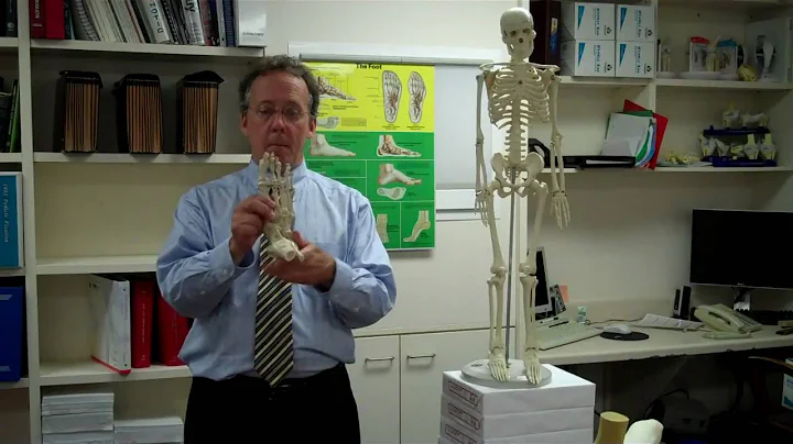 Biomechanics Lower Extremity | Foot Leg Pain | Dr. John Schuller | Podiatrist | Orthopaedics