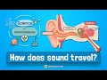 Science with grammarsaurus  how does sound travel