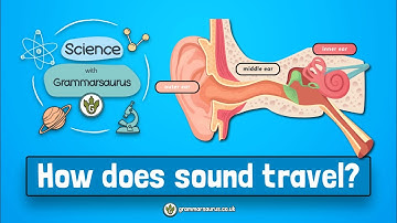 Science with Grammarsaurus - How does sound travel?