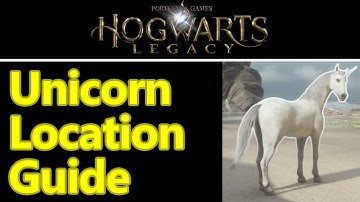 Hogwarts Legacy Unicorn location guide, where to find unicorn den and tame them