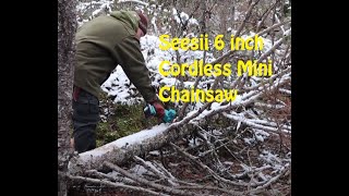 Seesii 6 inch Cordless Mini Chainsaw
