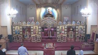 Presanctified Divine Litury  - 11 April 2025