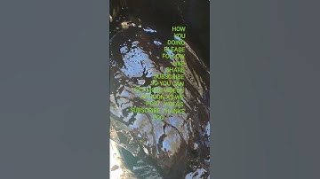 ENGINE OIL I NEED YOU HELP TO SEE IF THERE ARE ANY RECALL ENGINE OIL  PLEASE LET ME KNOW