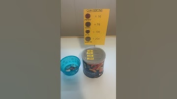 DIY Coin Sorting Activity