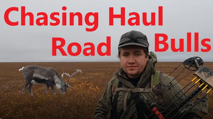 Dalton Highway Caribou Bow Hunt