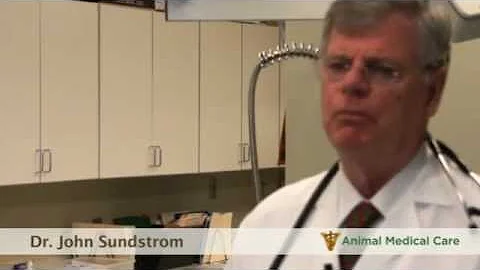Dr. John Sundstrom - What is Parvo?