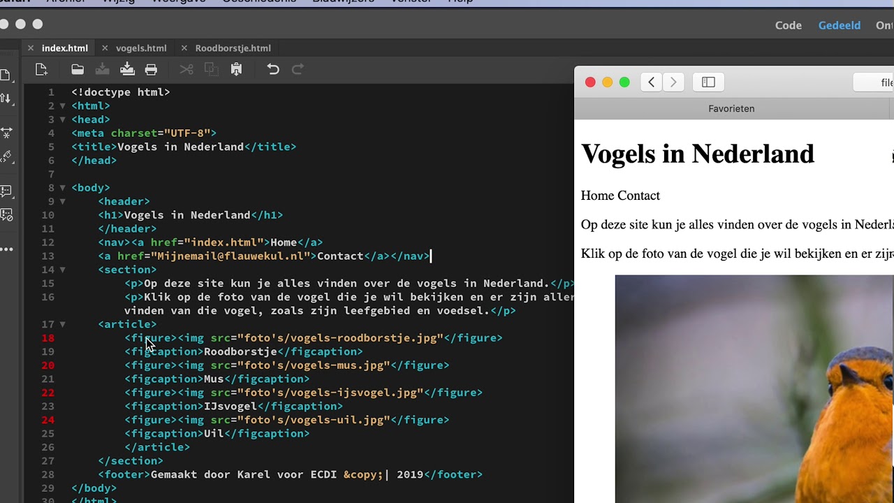 Dreamweaver Html 3