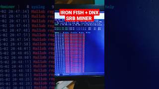 IRON FISH AND DYNEX DUAL COIN MINE TEST ON SRB MINER IRON FISH AND DYNEX DUAL COIN MINE TEST ON SRB MINER
