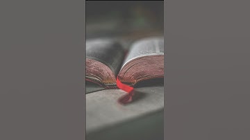 أية الكرسي _ سورة البقرة _ ماهر المعيقلي #قرآن_كريم #اليمن