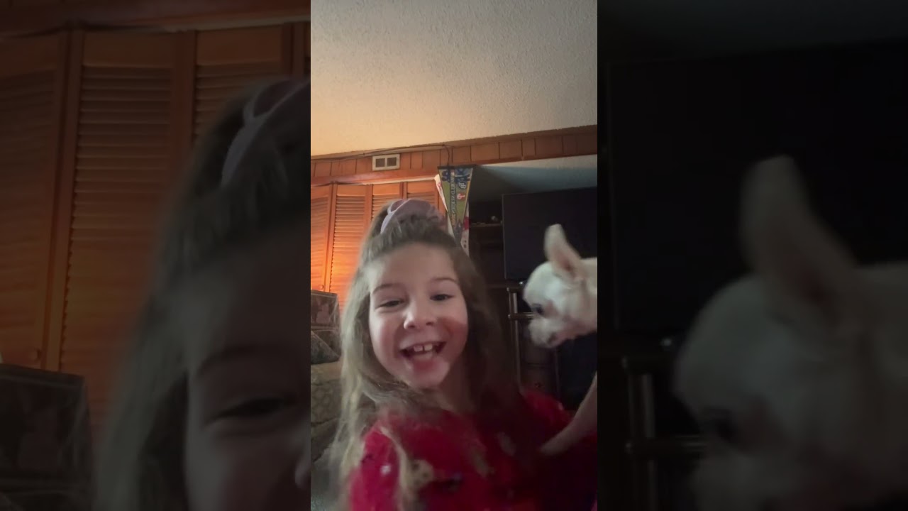 POV when my dog pees on the floor or poops ￼