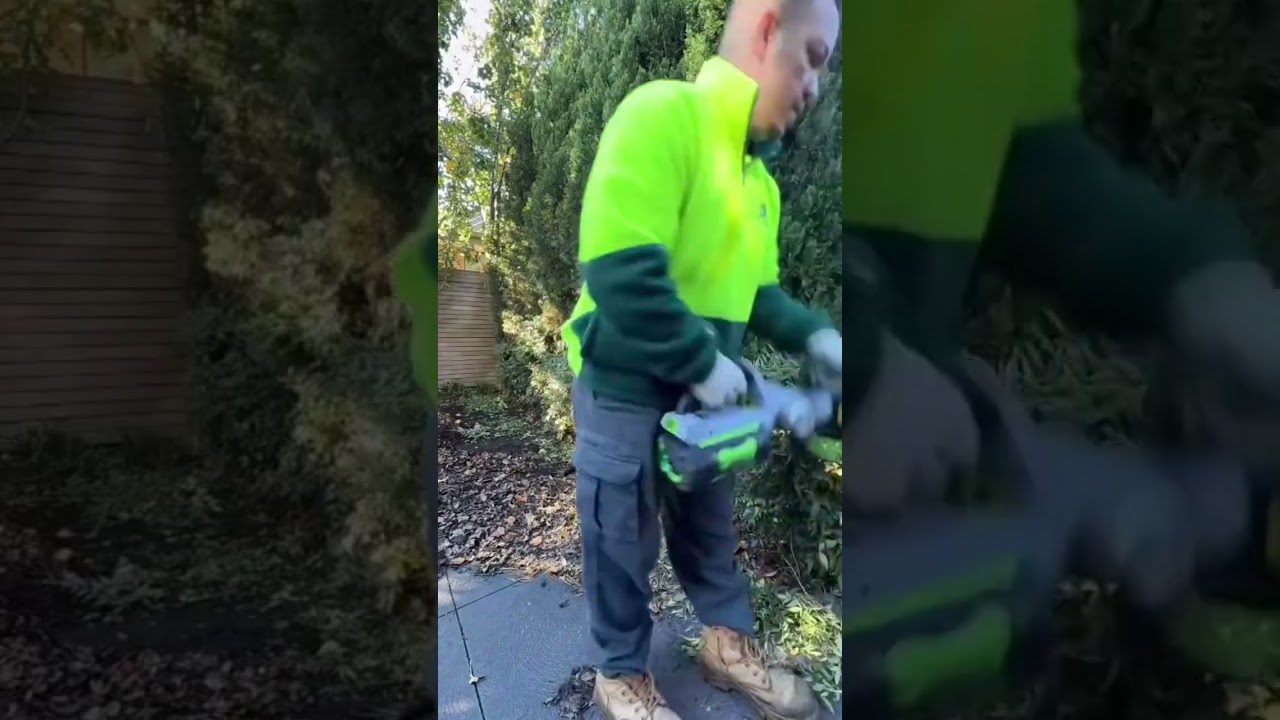 Watch this amazing transformation jimsmowingreservoirc #jimsmowing #gardening #lawnmowing