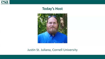Active Learning, Lectures, and Student Outcomes in 4D