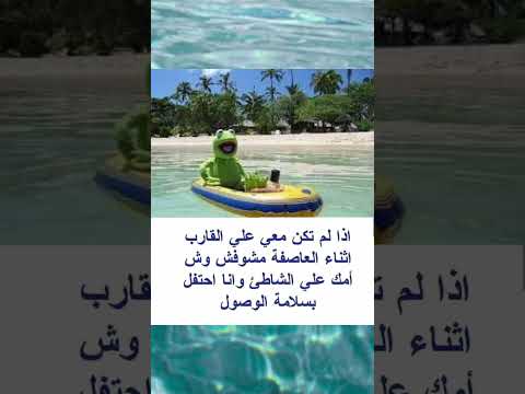 فعلآ ده الصح