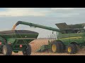 Harvesting Corn Fast Pace - John Deere S680 - 8430 - Brent 882 #harvestchaser