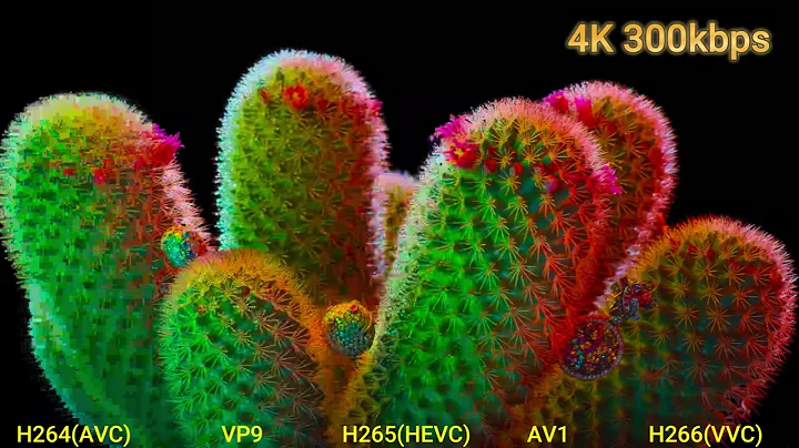 H264(AVC) vs H265(HEVC) vs H266(VVC) vs VP9 vs AV1 at 300kbps 4K Video Coding Comparison