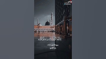 « إن الله وملائكته يصلون على النبي » تلاوة من سورة الأحزاب || القارئ رعد الكردي